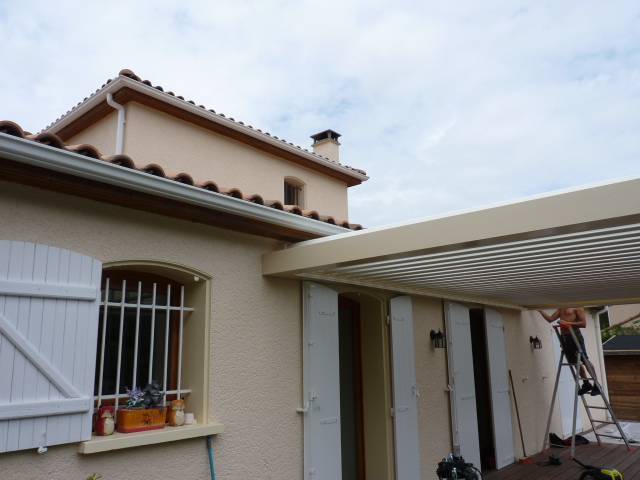 P1050202JPG_6216360cf378b